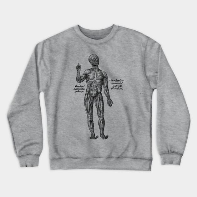 German Diagram Arm Muscular System - Vintage Anatomy Crewneck Sweatshirt by Vintage Anatomy Prints